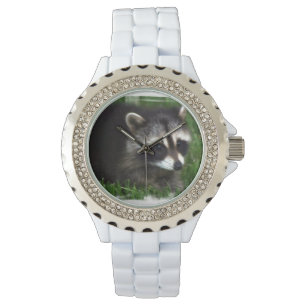 Montre Raton laveur
