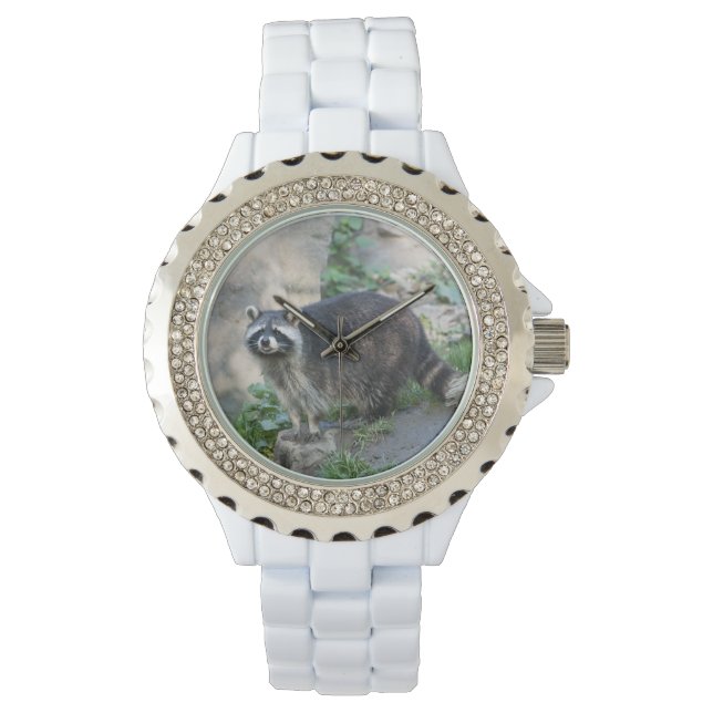 Montre Raton laveur (devant)