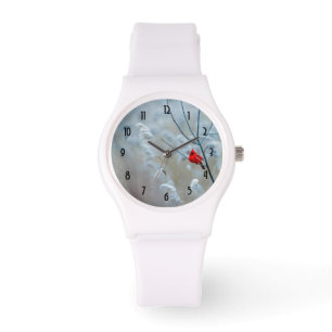 Montre Red Cardinal dans Winter Nature Photo de Christmas
