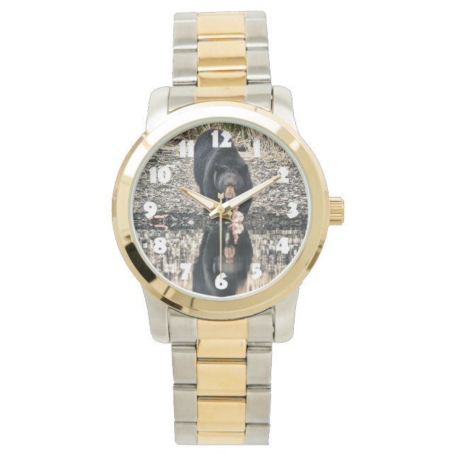 Montre Réflexions de l'ours noir (devant)