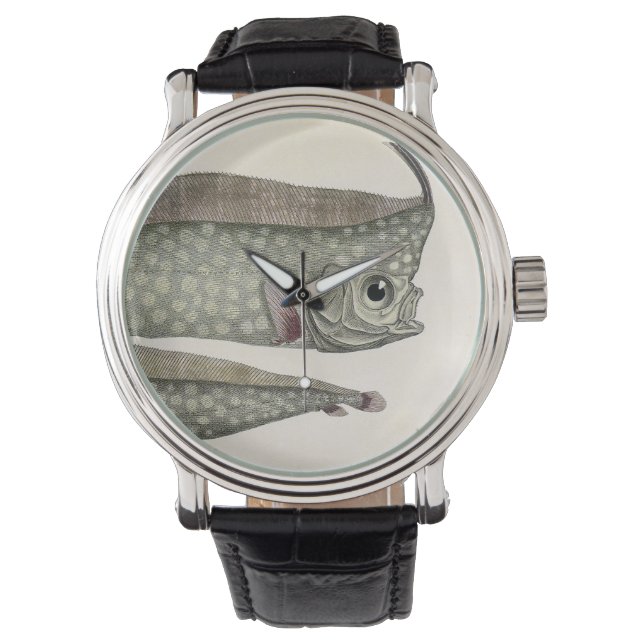 Montre Régalec cresté Poisson, Vieille Vie Marine Aquatiq (devant)