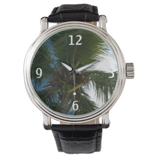 Montre Regard sur le palmier à coco Nature tropicale