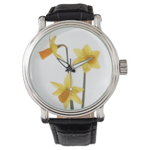 Montre Regarder la jonquille