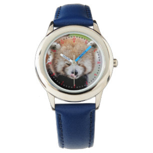 Montre Regardez la photo panda rouge. Panda roux.