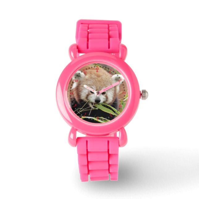 Montre Regardez la photo panda rouge. Panda roux. (Recto)