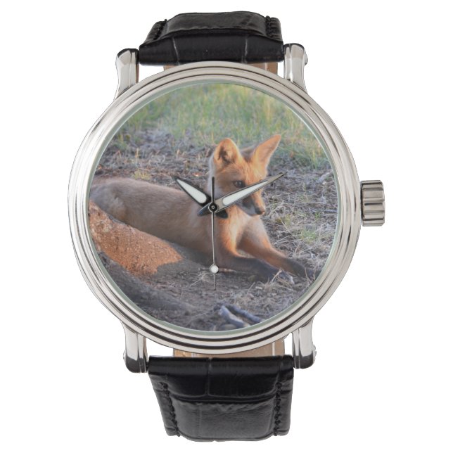Montre Renard à la lumière du soleil (devant)