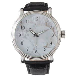 Montre Renard Arctique