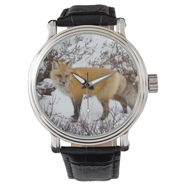 Montre Renard rouge dans la neige en hiver (devant)