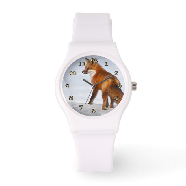 Montre Renard rouge en hiver (Recto)