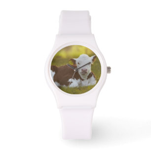 Montre Repos de veau