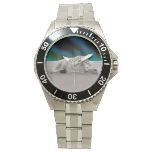 Montre Repose de l'ours polaire