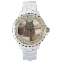 Repose du chat face b****