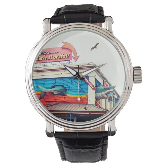 Montre Requin  (devant)