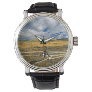 Montre Réserve faunique nationale de Mount Haggin près d'