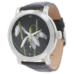 Montre Ressorts printaniers éternels