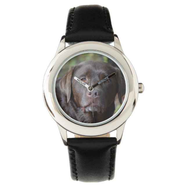 Montre Rétrificateur Labrador au chocolat adorable (devant)