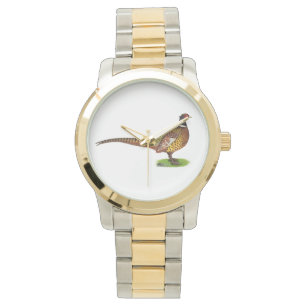 Montre Ringneck Pheasant Rooster