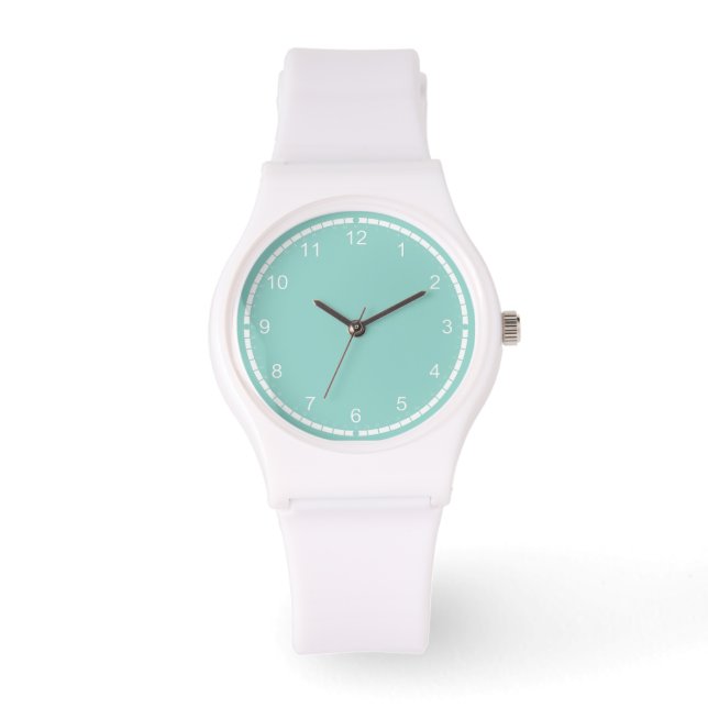 Montre Robin's Egg Blue Jewelry Box (Recto)