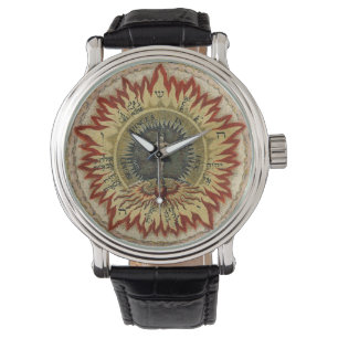 Montre Rose cosmique flamboyant