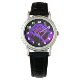 Montre Rose pourpre avec gouttes d'eau sur Arrière - plan