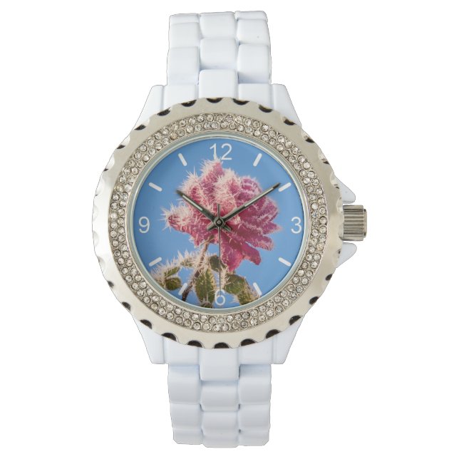 Montre Rose rose avec givre glacée dans une nature hivern (devant)