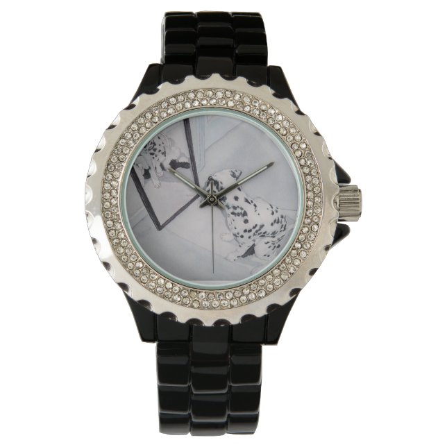 Montre Roxie la dalmate (devant)