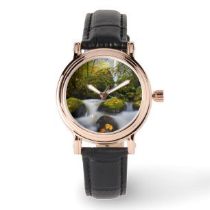 Montre Ruisseau McCord Grand Érable Columbia Gorge, OR