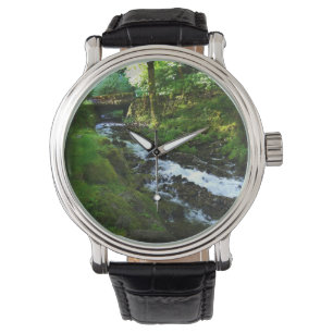 Montre Runoff from Wahkeena Falls