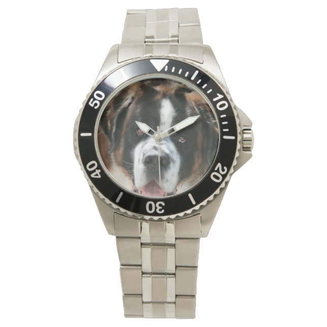 Montre Saint Bernard Face (devant)