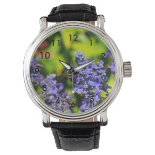 Montre Salvia Avec Bumblebee
