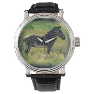 Montre Samburu Zebra