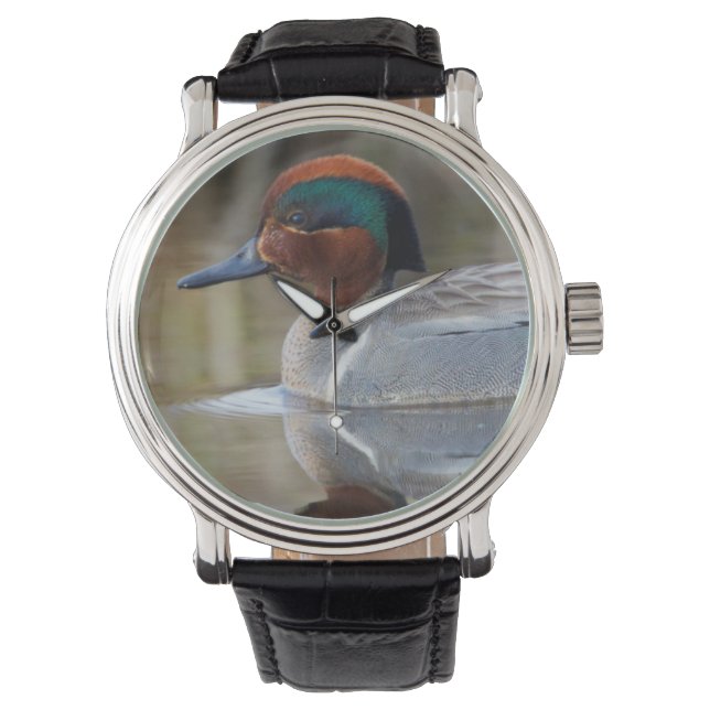 Montre Sarcelle à ailes vertes (devant)