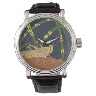 Montre Sauterelle dans l'herbe verte sur l'arrière - plan