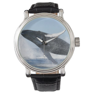 Montre Sauts de baleines à bosse