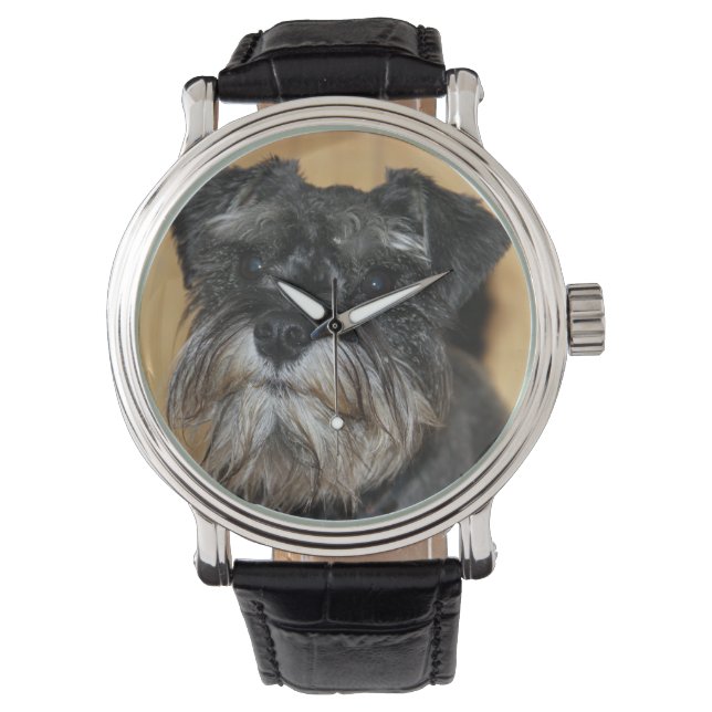 Montre Schnauzer miniature (devant)