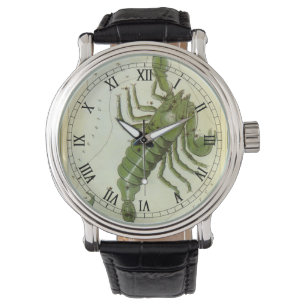 Montre Scorpion, Constellation Vintage Urania's Mirror