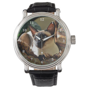Montre Seal Point Siamese Chat on Comfy Coussin