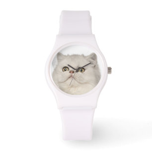 Montre Séance de chat persan