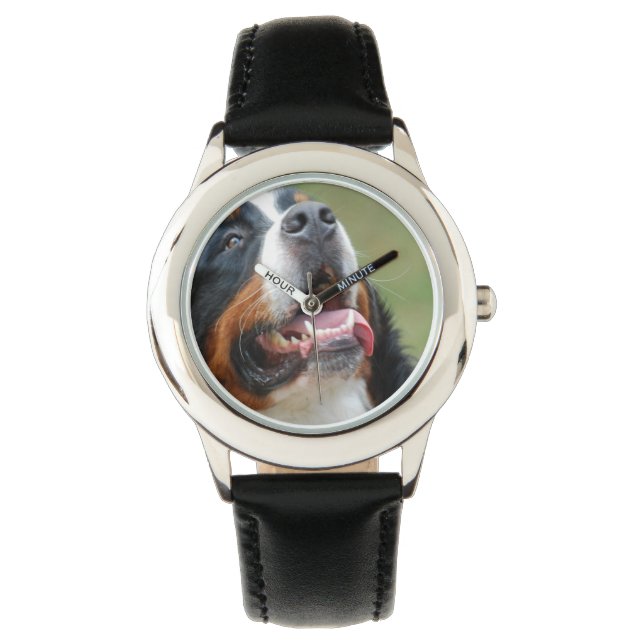 Montre Sennenhund de Berne (devant)