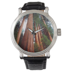 Montre Séquoia séquoias