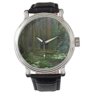 Montre Séquoias de Muir Woods National Monument