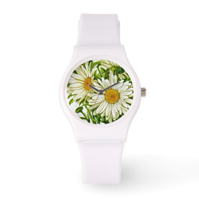Montre Shasta Daisy Vintage semis (Recto)