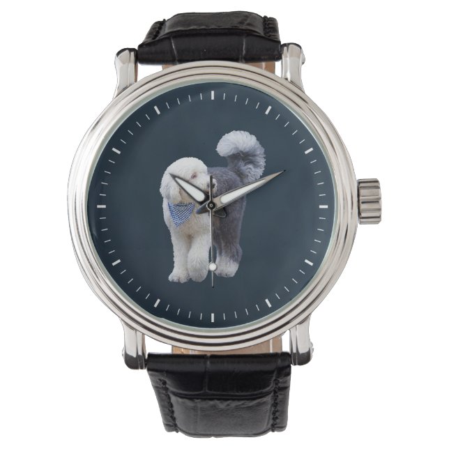 Montre Sheepadoodle avec écharpe à carreaux bleus (devant)