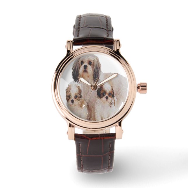 Montre Shih-tsu (Recto)