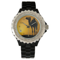 Silhouette d'un chameau sauvage au coucher du sole