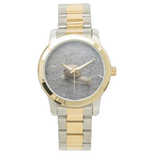 Montre Snail