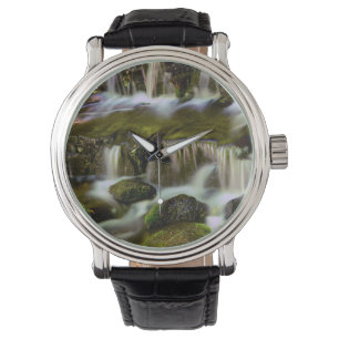 Montre Source aux fougères, Parc national de Yosemite, Ca