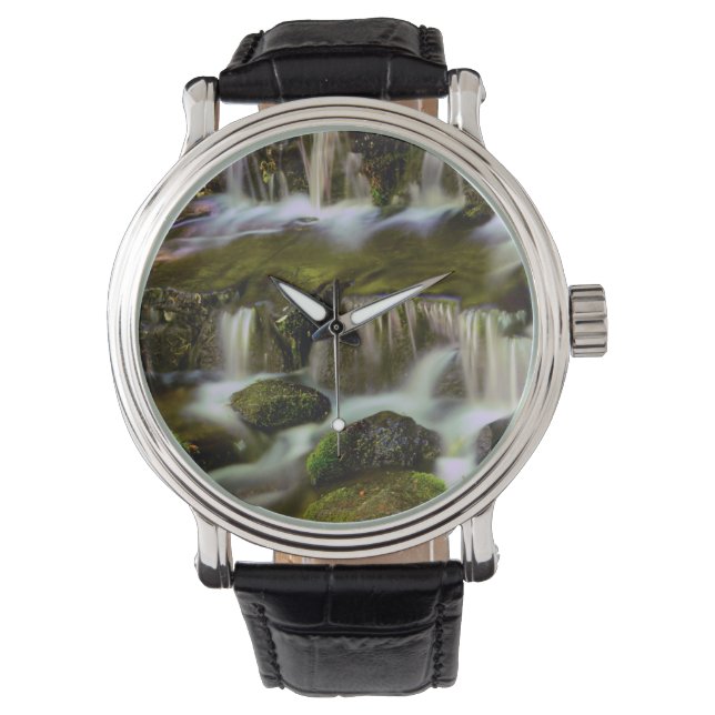 Montre Source aux fougères, Parc national de Yosemite, Ca (devant)
