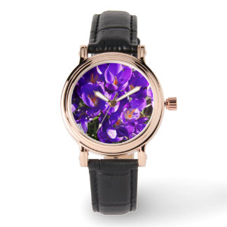 MONTRE SPRING CROCUS
