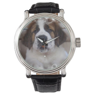 Montre St Bernard
